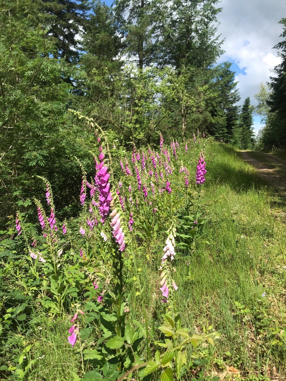 Photo 2026 07 31 19 23 50