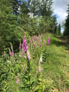 photo 2026 07 31 19 23 50